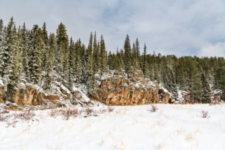 Téléchargez les photos : Paysage hivernal d'une prairie enneigée sous des falaises colorées et des arbres enneigés dans les montagnes Jemez, Nouveau-Mexique - en image libre de droit