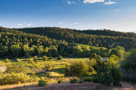 Téléchargez les photos : Paysage rural d'une vallée de champs verdoyants, vergers et ferme entourée de montagnes boisées au Nouveau-Mexique - en image libre de droit
