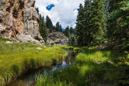 Idyllic scene of a stream flowing through a canyon with lush meadows and fir and spruce trees