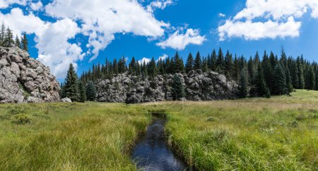 Téléchargez les photos : Panorama de ruisseau courbant à travers le fond d'un large canyon vers une falaise et des arbres dans Valles Caldera National Preserve, Nouveau-Mexique - en image libre de droit