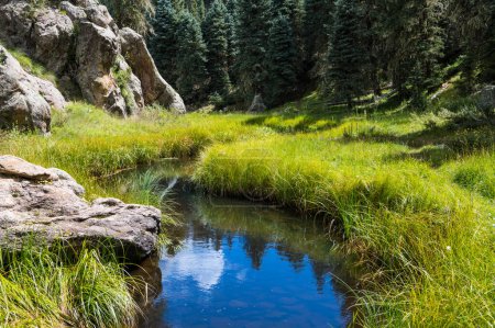 Téléchargez les photos : Ciel bleu et nuages blancs reflétés dans un ruisseau traversant une prairie herbeuse verte dans la réserve nationale de Valles Caldera, Nouveau-Mexique - en image libre de droit