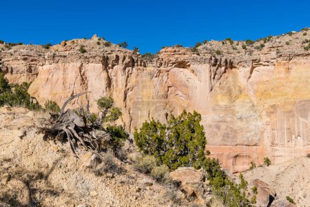 Téléchargez les photos : Paysage désertique de falaises mesa colorées au Ranch Fantôme, Nouveau-Mexique - en image libre de droit