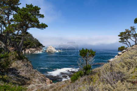Une crique à Point Lobos State Preserve avec un banc de brouillard au loin