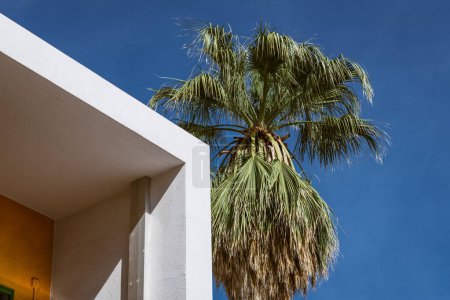 Téléchargez les photos : Palmier et coin d'un bâtiment moderne en béton avec mur orange à Palm Springs, Californie - en image libre de droit