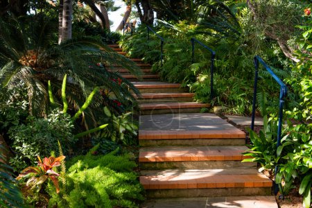 Téléchargez les photos : Escaliers et sentier courbant à travers un feuillage vert luxuriant dans un jardin tropical représentant le thème du bien-être - en image libre de droit