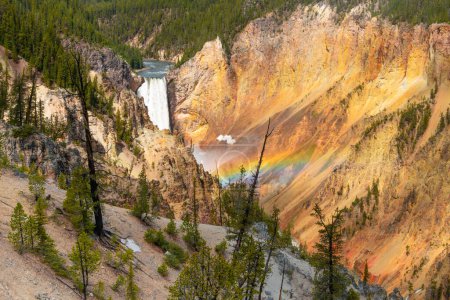 Téléchargez les photos : Cascade et arc-en-ciel dans le Grand Canyon de Yellowstone à Lower Falls, parc national de Yellowstone, Wyoming - en image libre de droit