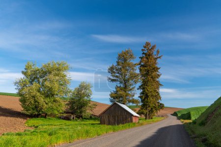 Téléchargez les photos : Campagne américaine typique avec une route de gravier à côté d'une grange en bois rouge altérée à Palouse Hills, Washington - en image libre de droit