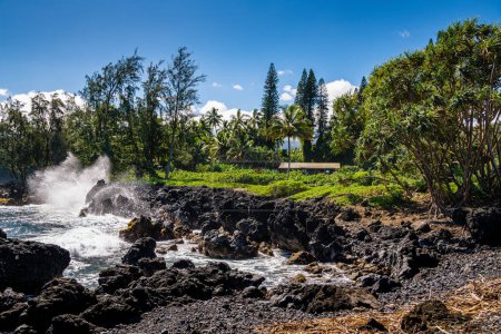 Téléchargez les photos : Paysage marin de la côte tropicale avec le surf s'écrasant contre les formations rocheuses volcaniques sous un chalet rustique situé dans la végétation tropicale à Maui, Hawaï - en image libre de droit