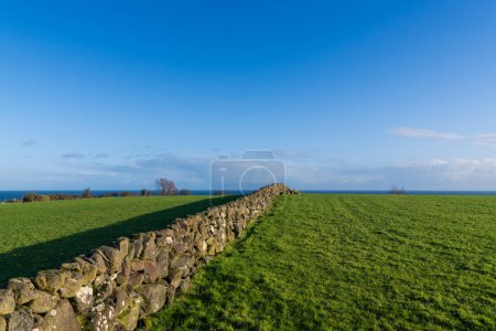 Photo for Old stone wall between two fields of green grass along the Antrim Coast in Northern Ireland - Royalty Free Image