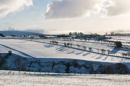 Téléchargez les photos : Une ligne d'arbres et de poteaux de clôture jette des ombres à travers un champ neigeux dans le comté d'Antrim, en Irlande du Nord - en image libre de droit
