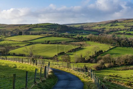 Téléchargez les photos : Une route de campagne sereine serpente à travers les collines ondulantes et les champs verts des Glens d'Antrim, parsemés de fermes et de moutons paissant paisiblement - en image libre de droit