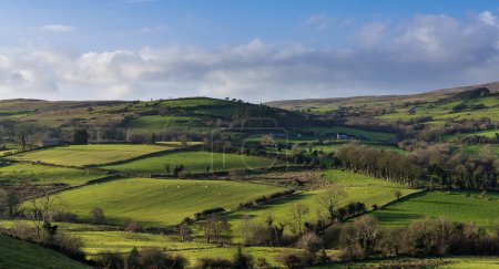 Téléchargez les photos : Campagne sereine et paysage rural idyllique de champs verdoyants, de collines et de moutons brouteurs dans les Glens d'Antrim, en Irlande du Nord - en image libre de droit
