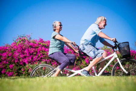 Téléchargez les photos : Beau couple de personnes âgées et mûres mariés, en double vélo, en tandem, ensemble pour s'amuser avec une grande journée ensoleillée - femme et homme - en image libre de droit