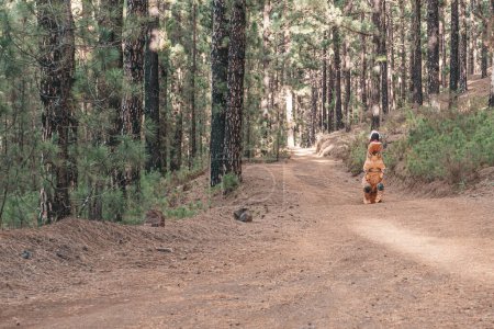 Téléchargez les photos : Un costume t-rex découvrant la terre et marchant sur la route d'une forêt ou d'une montagne à la recherche de quelque chose - en image libre de droit
