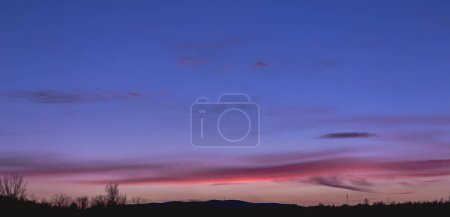 Téléchargez les photos : Beau ciel dégradé de crépuscule bleu, violet et orange au coucher du soleil avec des silhouettes d'arbres. - en image libre de droit