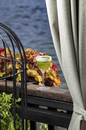 Téléchargez les photos : Vermouth d'aneth dans un verre transparent sur une longue tige avec de la mousse et une feuille de persil sur le dessus se tient sur une clôture en bois. - en image libre de droit