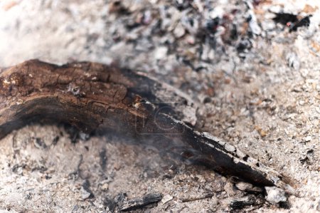 Photo for Close-up of the embers of a bonfire with abundant ash - Royalty Free Image