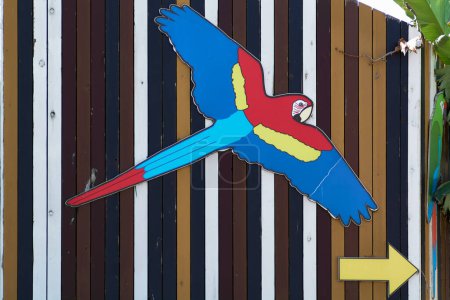 Colorful parrot in mid-flight against a striped wooden backdrop.