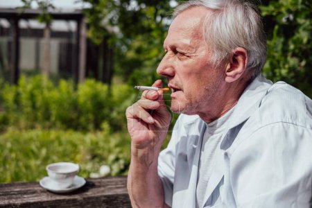 Amidst the tranquility of green surroundings, an aged man savors a cigarette, reflecting on the complexities of old age and habits, addictions. High quality photo