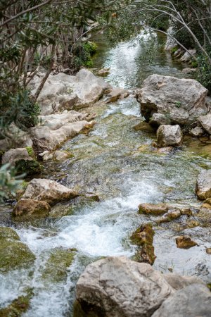 A dynamic brook, river babbles energetically, navigating a maze of creamy stones and verdant bush, alive with natures murmur. High quality photo
