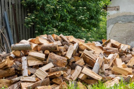 A large pile of freshly chopped firewood stacked in an outdoor rustic setting, ready for winter warmth. High quality photo