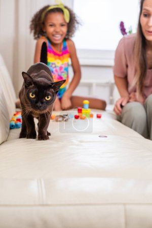 Spielerische Szenen entfalten sich mit einem lachenden Kind und einer neugierigen schwarzen Katze auf einem Sofa, Spielzeug, das ein Gefühl von heimeligem Komfort und kindlichem Staunen fördert, Spielzeug und Tiertherapie für Kinder. Hochwertiges Foto