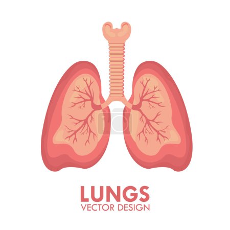 Photo for Lungs Human Respiratory Organ Medical Healthcare Isolated Vector Illustration - Royalty Free Image
