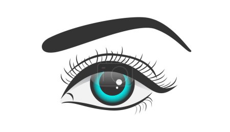 Photo for Beautiful Blue Color Female Eye Isolated Vector Illustration - Royalty Free Image
