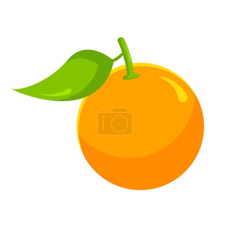 Photo for Orange Fruit Isolated Flat Vector Illustration - Royalty Free Image