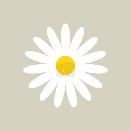 Photo for White Daisy Chamomile Flower Isolated Icon Vector Illustration - Royalty Free Image