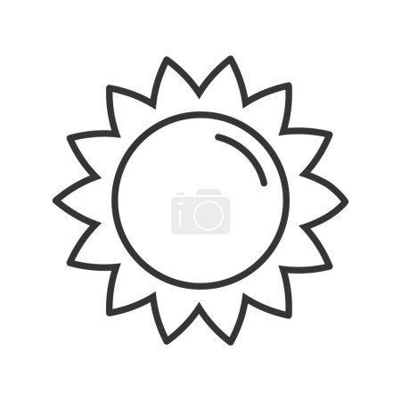 Photo for Linear Sun Icon Isolated Vector Illustration - Royalty Free Image