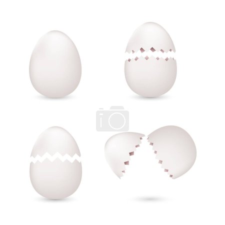 Photo for White cracked realistic eggs set - Royalty Free Image