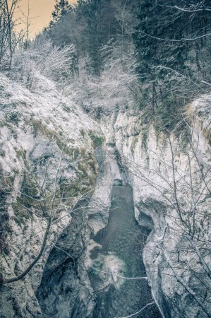 Téléchargez les photos : Beau paysage avec rivière en hiver - en image libre de droit