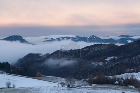 Foto de Bosque de montaña por la mañana con niebla - Imagen libre de derechos