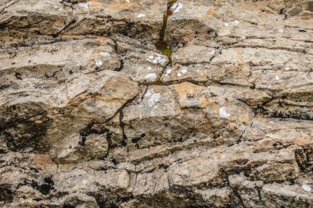 Photo for Grunge background with natural rock  texture - Royalty Free Image