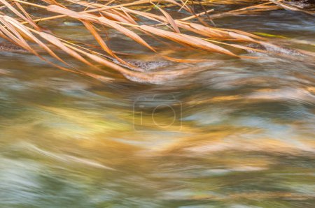 Foto de Flowing water, colored water - Imagen libre de derechos