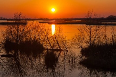 Foto de Sunset on the swamp, sunset on the marsh, pond, wild reserve, lagoon reserve - Imagen libre de derechos