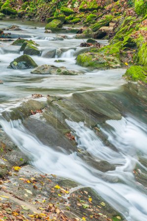 Téléchargez les photos : River waterfalls and rapids, flowing water - en image libre de droit