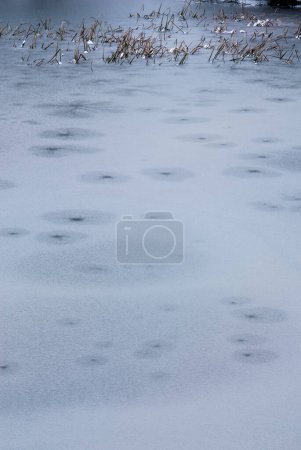 Téléchargez les photos : Eau glacée, figures dans la glace, lac glacé, eau glacée, cercles dans la glace - en image libre de droit