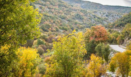 Foto de Valle colorido en el otoño - Imagen libre de derechos