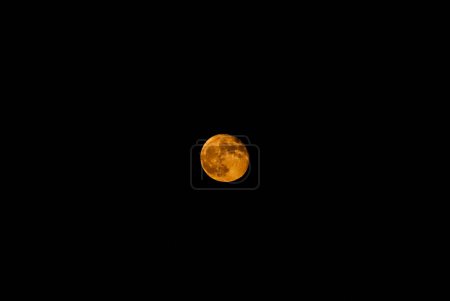 Photo for Moon orange face on sky - Royalty Free Image