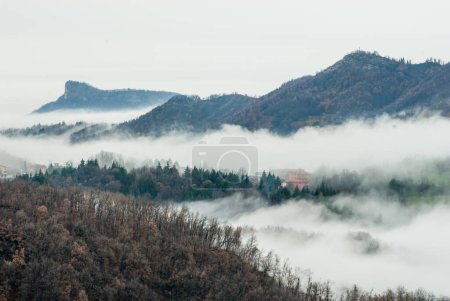 Photo for Mountains peaks in the fog - Royalty Free Image