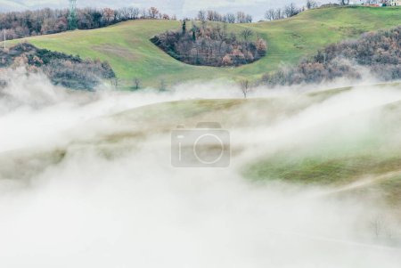 Photo for Hills and meadow in the fog - Royalty Free Image