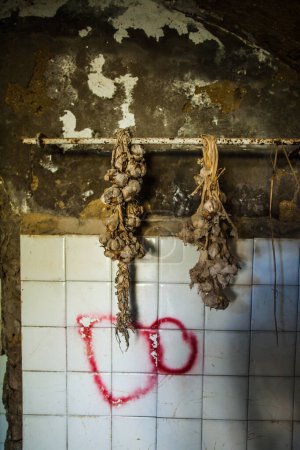 Téléchargez les photos : Ail sur le mur du bâtiment, ville fantôme abandonnée - en image libre de droit