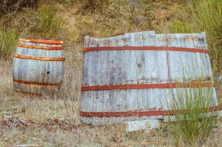 Photo for Rusty wine barrels, close uo - Royalty Free Image