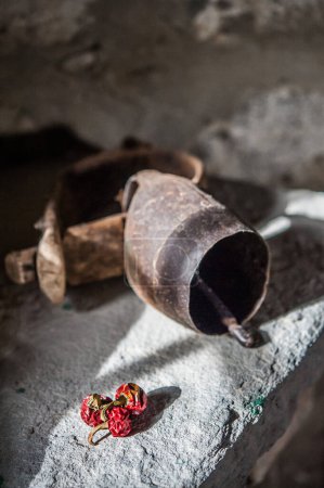 Foto de Chiles rojos secos y campana de acero - Imagen libre de derechos