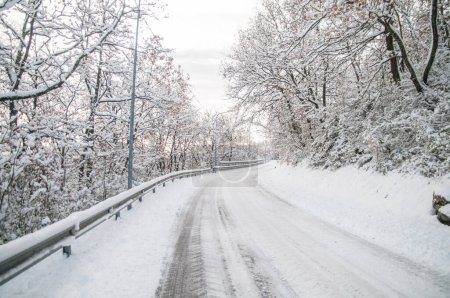 Téléchargez les photos : Route enneigée en hiver - en image libre de droit