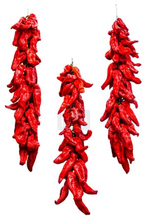 Foto de Red peppers dried up isolated, braid of peppers - Imagen libre de derechos