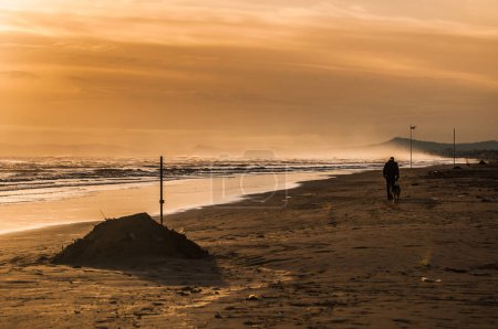 Photo for Man walking around on the beach at sunrise - Royalty Free Image