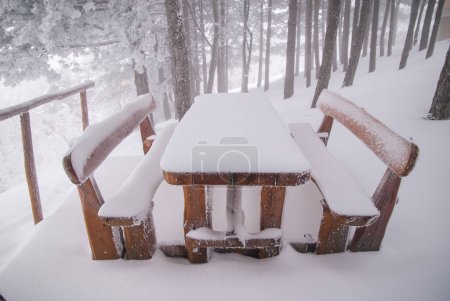 Téléchargez les photos : Bancs et table en hiver paysage, paysage enneigé - en image libre de droit
